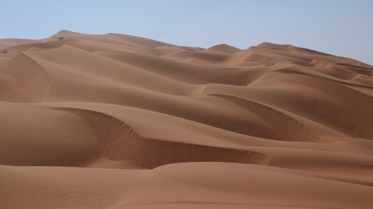 Desert Animals: Amazing Creatures That Thrive in Extreme Heat and Harsh Conditions